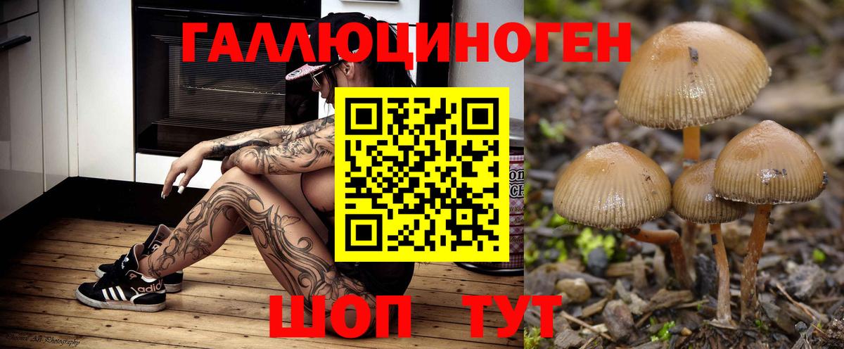 Галлюциногенные грибы ЛСД Магнитогорск