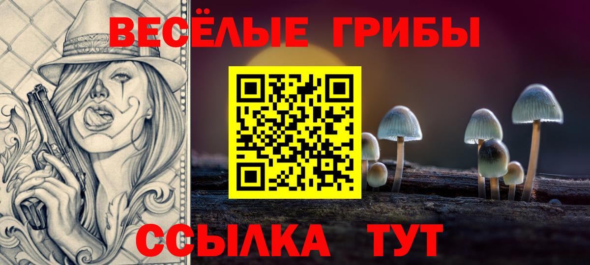 Магнитогорск  Галлюциногенные грибы Psilocybe  Вход с VPN 